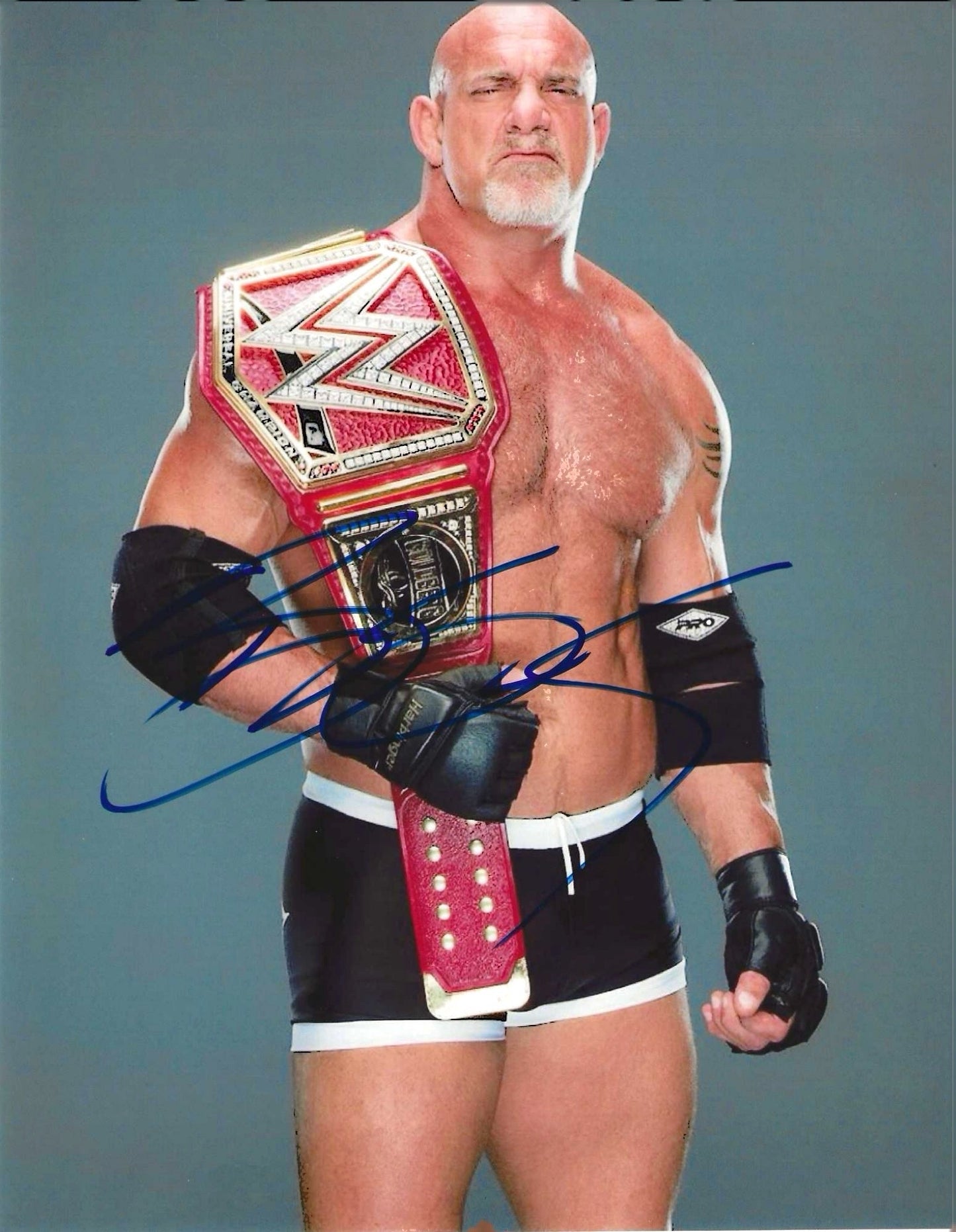 Goldberg Autographed Signed "WWE/WCW" 8x10 photo Elite Promotions & Graphz Authentication