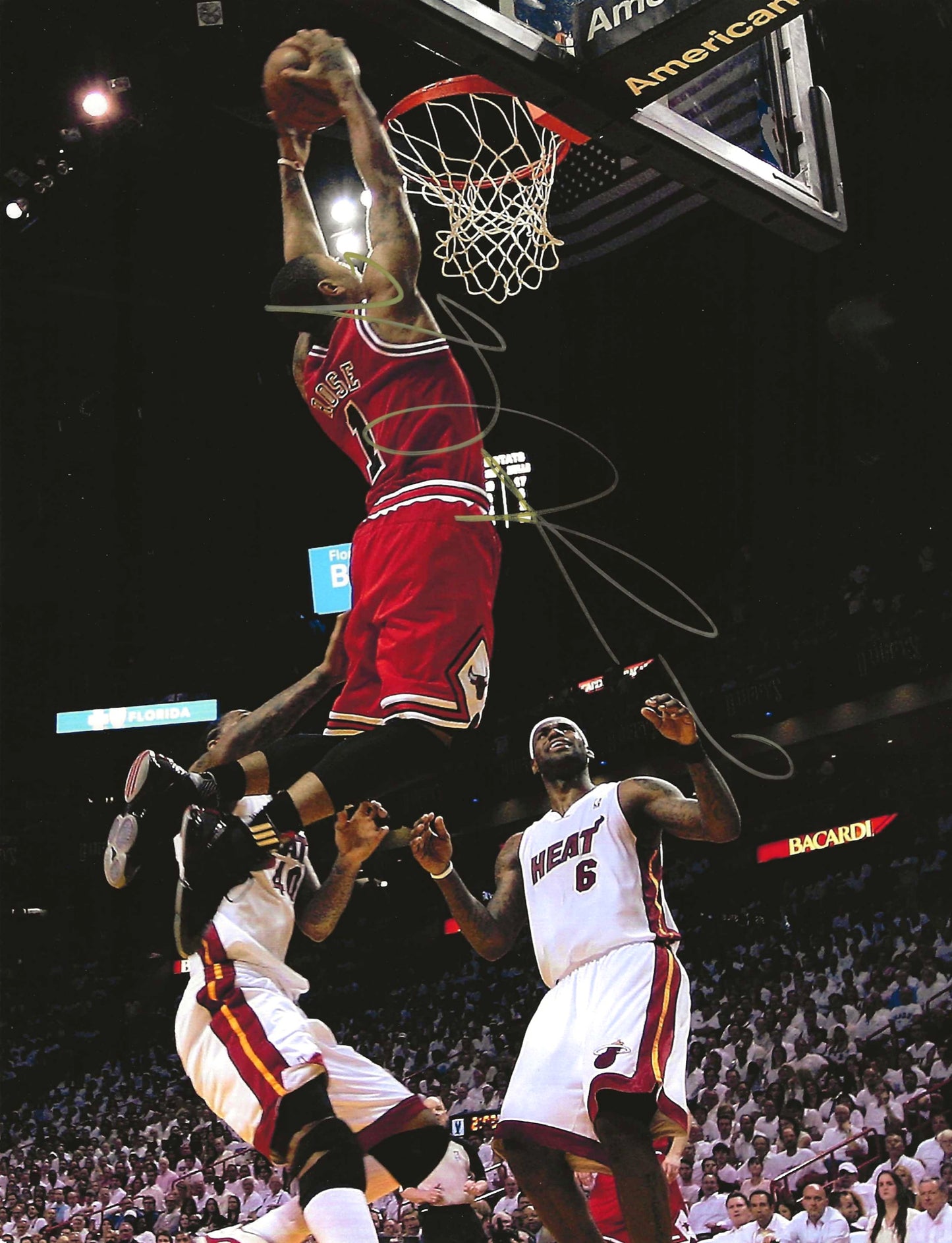 Derrick Rose Autographed Signed "BULLS" 8x10 photo Elite Promotions & Graphz Authentication