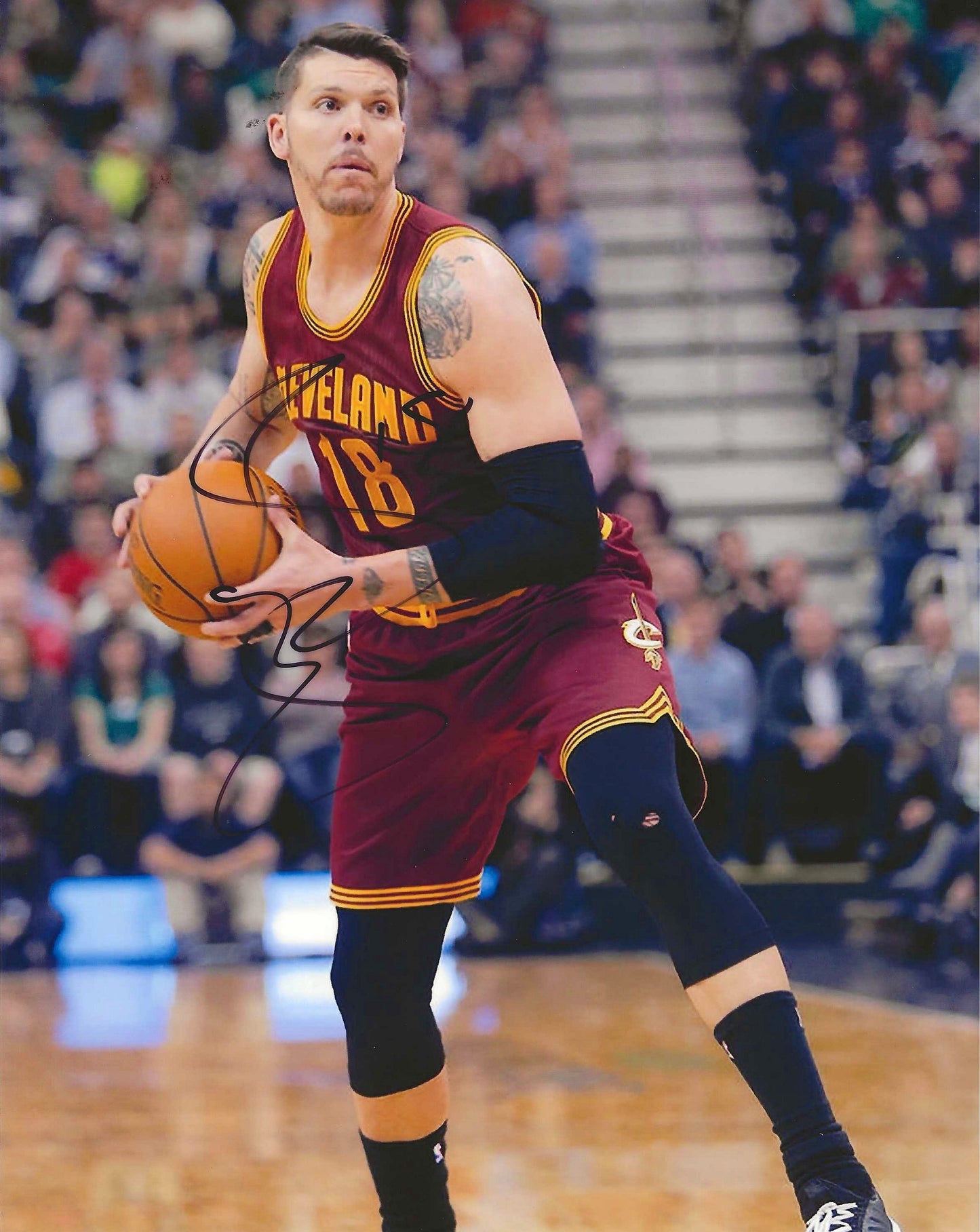 Mike Miller Autographed Signed "CAVALIERS" 8x10 photo Elite Promotions & Graphz Authentication
