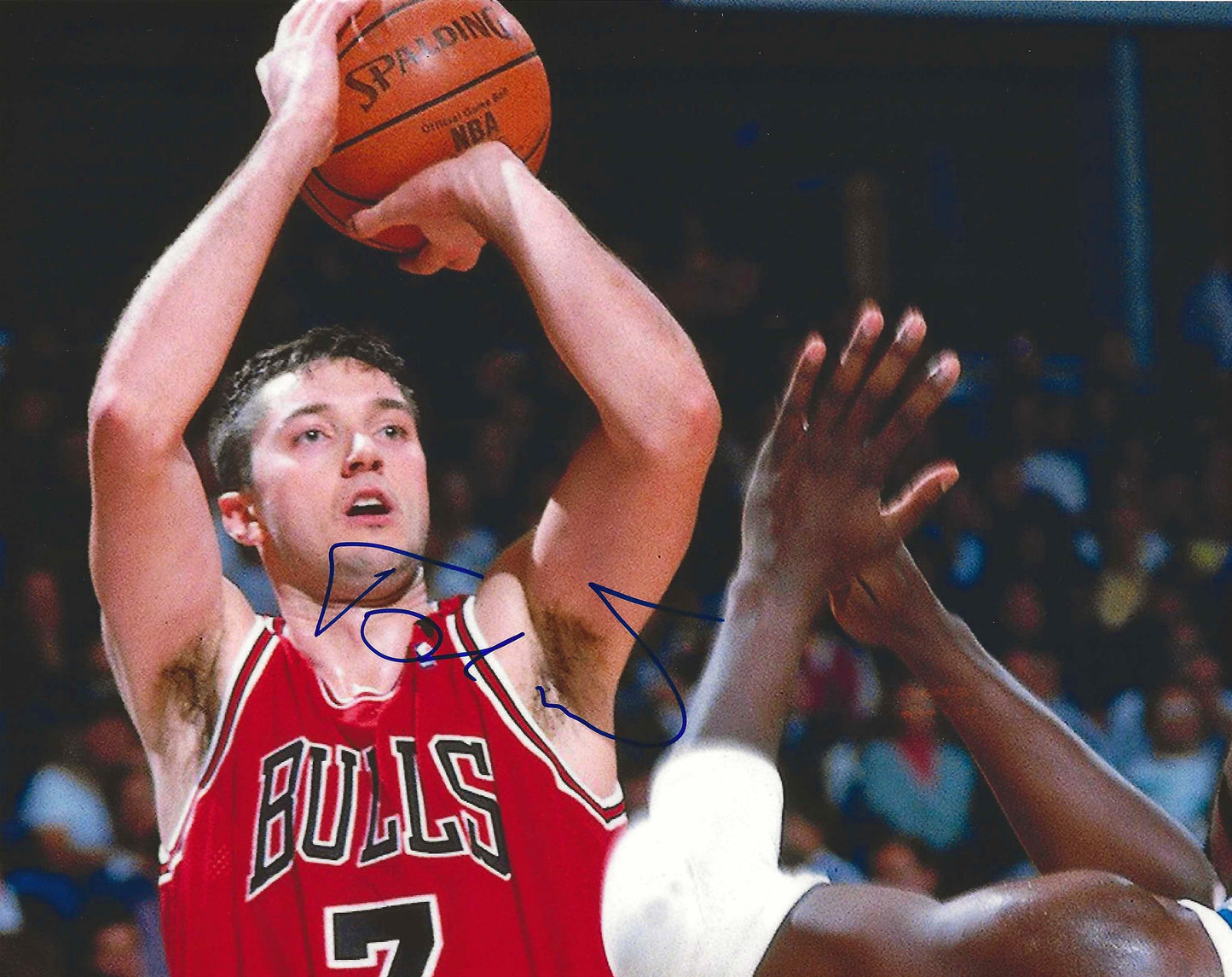 Tony Kukoc Autographed Signed "BULLS" 8x10 photo Elite Promotions & Graphz Authentication