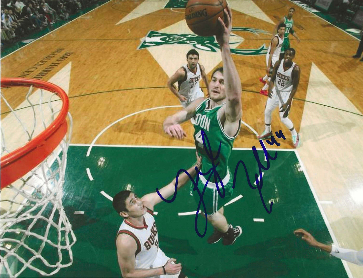Tyler Zeller Autographed Signed "CELTICS" 8x10 photo Elite Promotions & Graphz Authentication